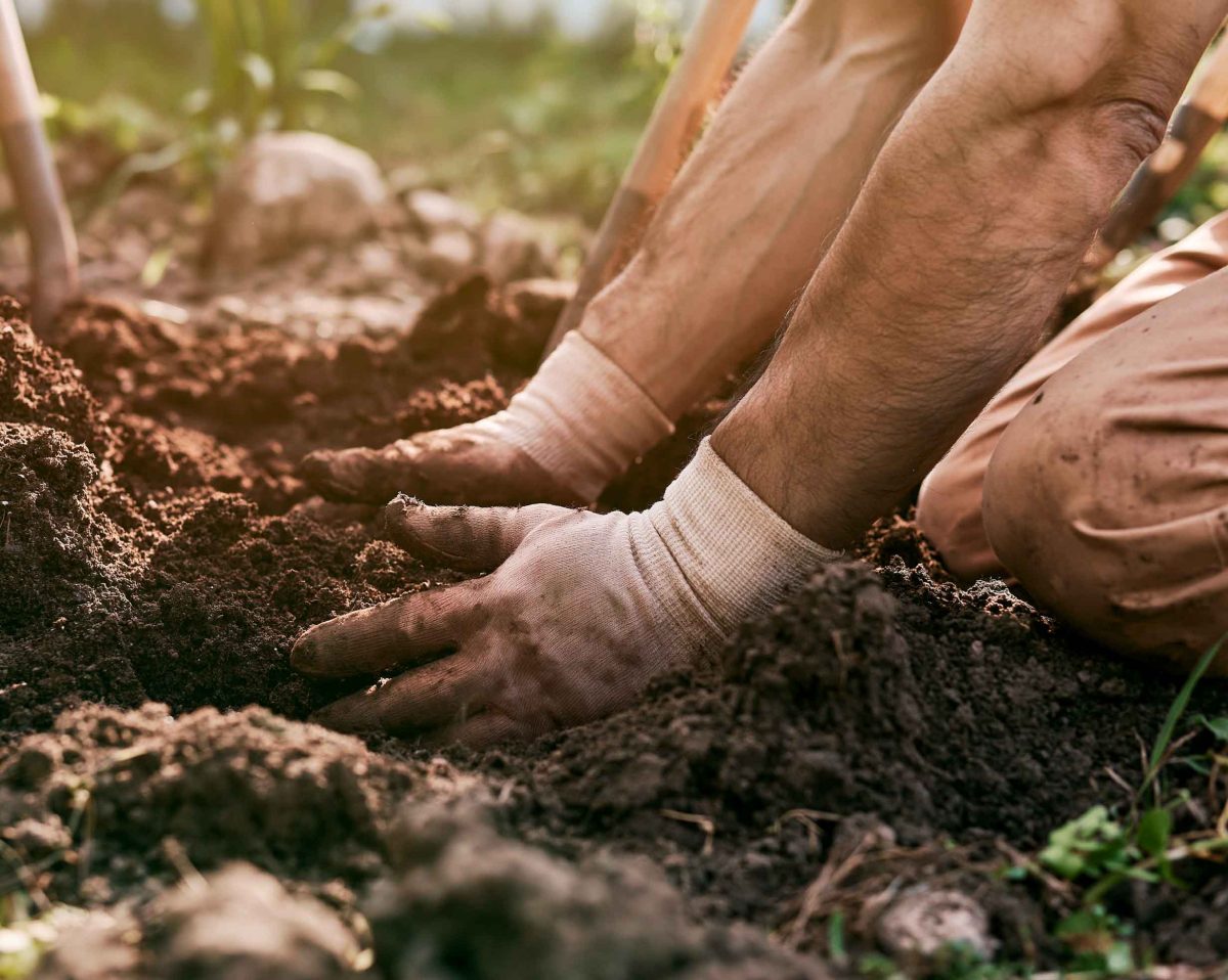 person wearing light gardening gloves while wor 518c965e c3c2 4e43 b97e f15730b74e3b 3